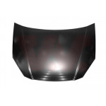 VAN WEZEL Motorhaube