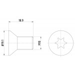TEXTAR Schraube, Bremsscheibe
