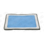 CHAMPION Filter, Innenraumluft