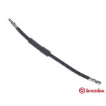 BREMBO Bremsschlauch