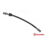 BREMBO Bremsschlauch