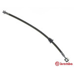 BREMBO Bremsschlauch