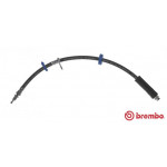 BREMBO Bremsschlauch