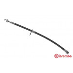 BREMBO Bremsschlauch