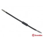 BREMBO Bremsschlauch