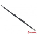 BREMBO Bremsschlauch