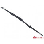 BREMBO Bremsschlauch