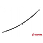 BREMBO Bremsschlauch