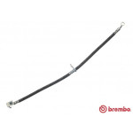 BREMBO Bremsschlauch