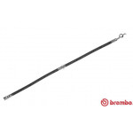 BREMBO Bremsschlauch