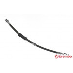 BREMBO Bremsschlauch