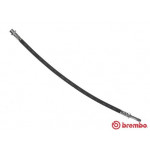 BREMBO Bremsschlauch