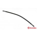 BREMBO Bremsschlauch