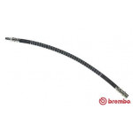 BREMBO Bremsschlauch