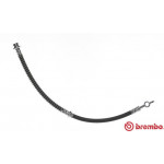 BREMBO Bremsschlauch