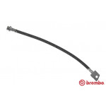 BREMBO Bremsschlauch