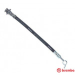 BREMBO Bremsschlauch