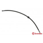 BREMBO Bremsschlauch