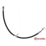 BREMBO Bremsschlauch