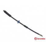 BREMBO Bremsschlauch