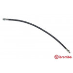 BREMBO Bremsschlauch