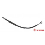 BREMBO Bremsschlauch