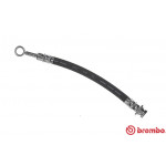 BREMBO Bremsschlauch