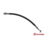 BREMBO Bremsschlauch