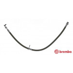 BREMBO Bremsschlauch