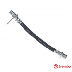 BREMBO Bremsschlauch