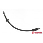 BREMBO Bremsschlauch