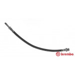 BREMBO Bremsschlauch