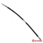 BREMBO Bremsschlauch