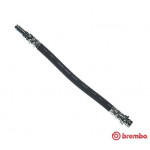 BREMBO Bremsschlauch