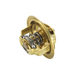 BorgWarner (Wahler) Thermostat, Kühlmittel