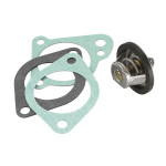 BorgWarner (Wahler) Thermostat, Kühlmittel