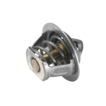 BorgWarner (Wahler) Thermostat, Kühlmittel