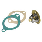 BorgWarner (Wahler) Thermostat, Kühlmittel