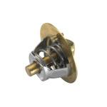 BorgWarner (Wahler) Thermostat, Kühlmittel