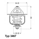 BorgWarner (Wahler) Thermostat, Kühlmittel