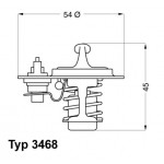 BorgWarner (Wahler) Thermostat, Kühlmittel