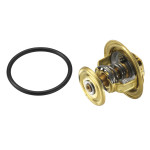 BorgWarner (Wahler) Thermostat, Kühlmittel