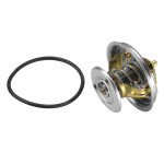 BorgWarner (Wahler) Thermostat, Kühlmittel