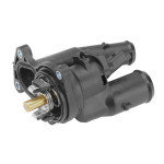 BorgWarner (Wahler) Thermostat, Kühlmittel