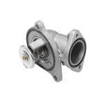 BorgWarner (Wahler) Thermostat, Kühlmittel