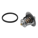 BorgWarner (Wahler) Thermostat, Kühlmittel