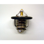 BorgWarner (Wahler) Thermostat, Kühlmittel