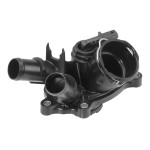BorgWarner (Wahler) Thermostat, Kühlmittel