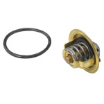 BorgWarner (Wahler) Thermostat, Kühlmittel