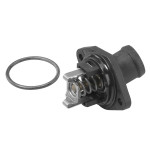BorgWarner (Wahler) Thermostat, Kühlmittel